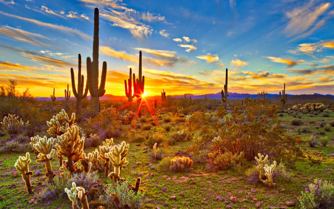 Ron Price Scholarship