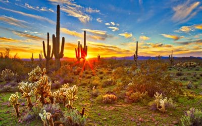 Ron Price Scholarship