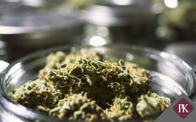 The New Marijuana Industry in Arizona