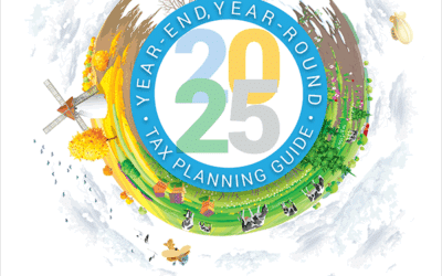 Price Kong 2025 Year-End Tax Planning Guide